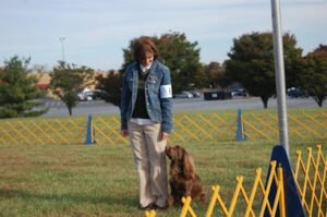Good Dog Dog Training