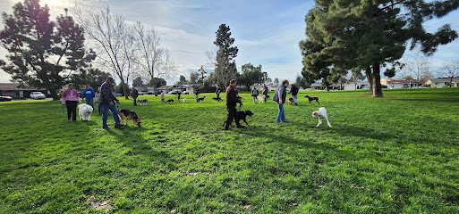 American Canine Institute