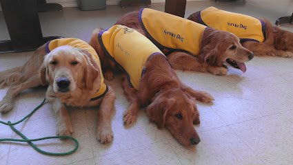 Assistance Service Dog Educational Center