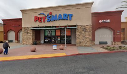 PetSmart Dog Training