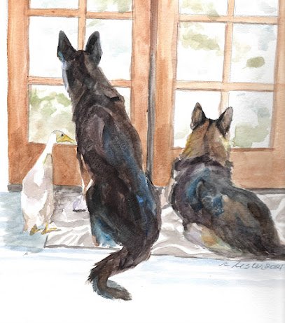 Julia Priest Coach For Canines