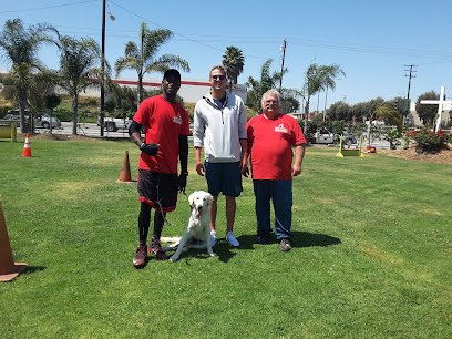 Wolfgang Expert Dog Training