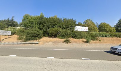 Sirius Puppy & Dog Training