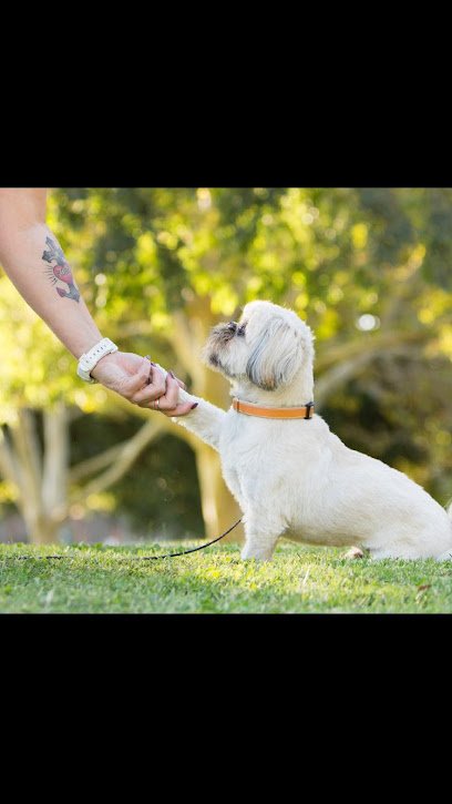 Animal Manners