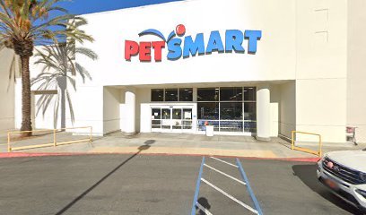 PetSmart Dog Training