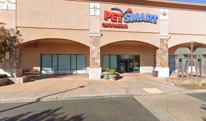 PetSmart Dog Training