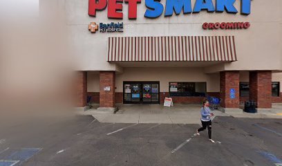 PetSmart Dog Training