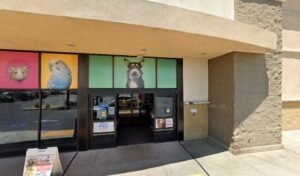 PetSmart Dog Training