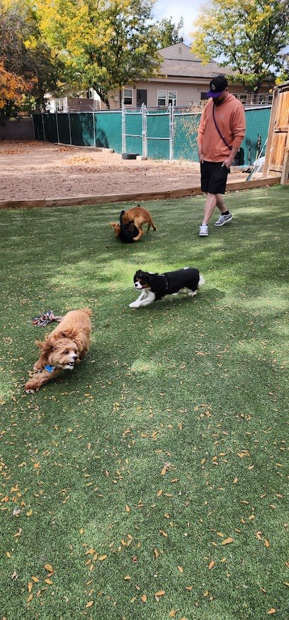 Positivity Dog Training LLC