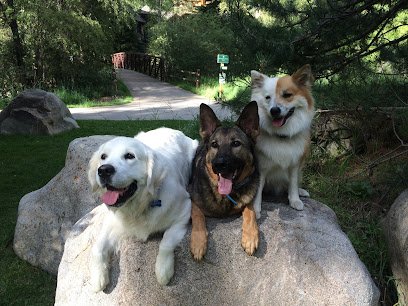 Endless Pawsibilities Dog Training & Services