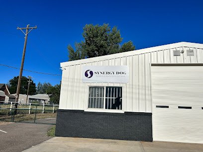 Synergy Dog Training & Behavior Solutions
