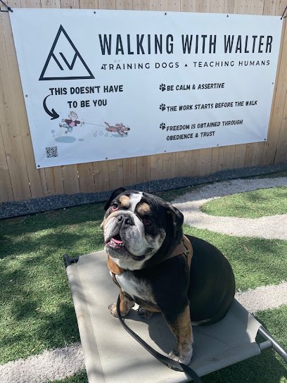 Walking With Walter Dog Training