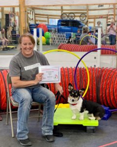 Woofermutt Dog Training