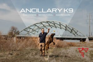 Ancillary K9 Dog Training