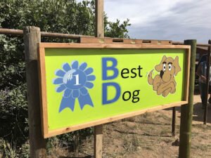 Best Dog Ltd.