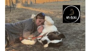 No 2 Alike Dog Training