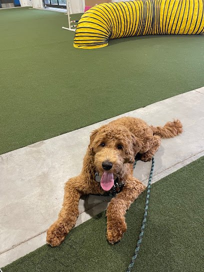 Jasper’s Splash Zone