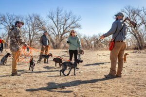 Valhalla Hunt Club & Kennels