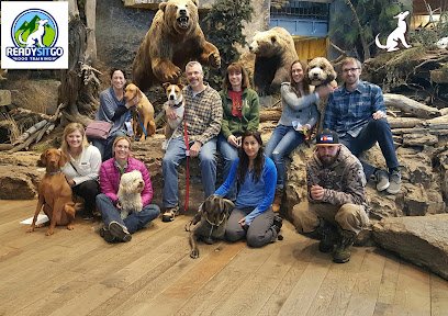 Ready Sit Go Dog Training
