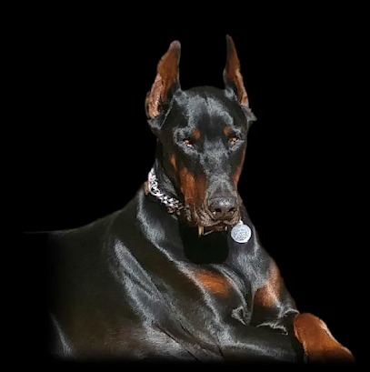 Valentine Dog Training