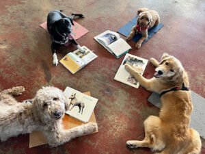 Noble Beast Dog Training
