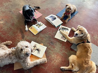 Noble Beast Dog Training