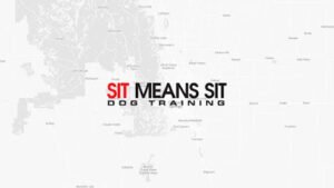 Sit Means Sit Dog Training Colorado Springs
