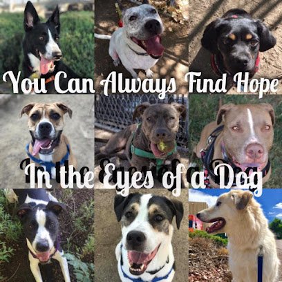 All Breed Rescue & Training