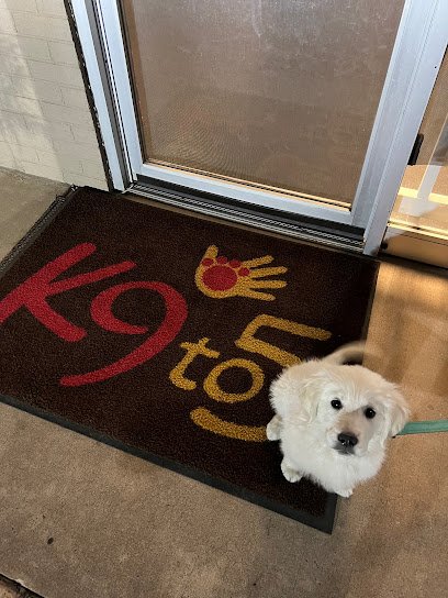 K9To5 Dog Training