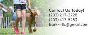Bark Fit LLC