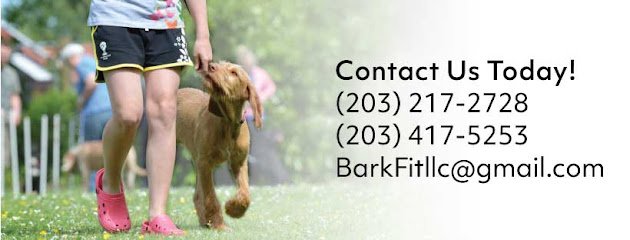 Bark Fit LLC