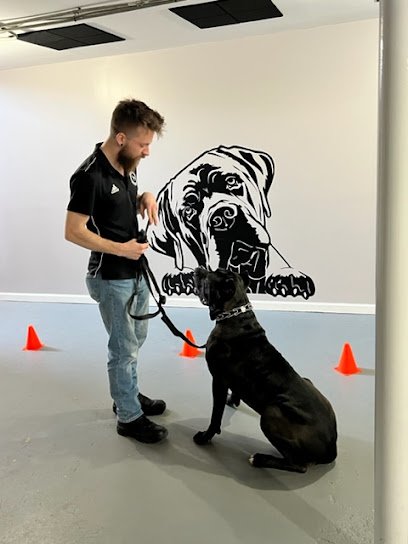 One Proper Pup Dog Training