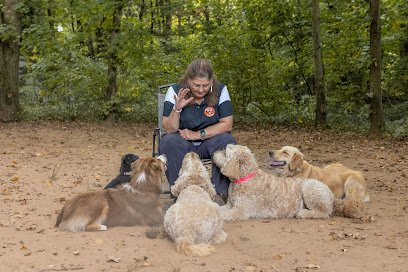 Happy Dogs At Home