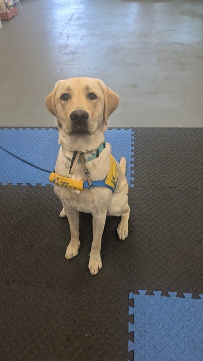 PAWsitive Approach, LLC