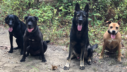 Venture K9