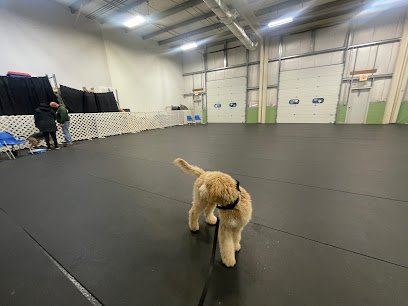 Paws ‘N Effect Canine Training Center