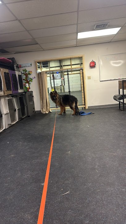 Versatile K9