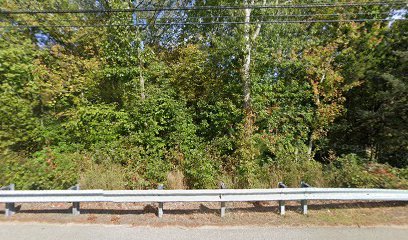 Canine Command Learning Center