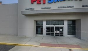 PetSmart Dog Training