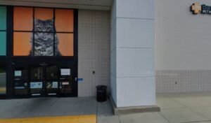 PetSmart Dog Training