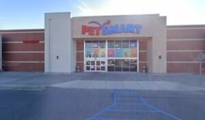 PetSmart Dog Training