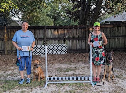 Sunburst K-9 Training