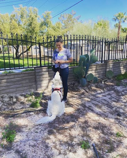 The Dog Training Spot