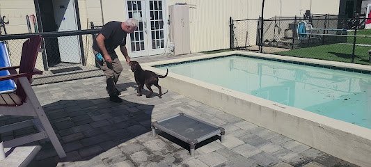 Got Your Back K9 Life