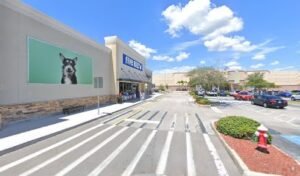 PetSmart Dog Training