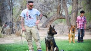 Advanced K9 Academy