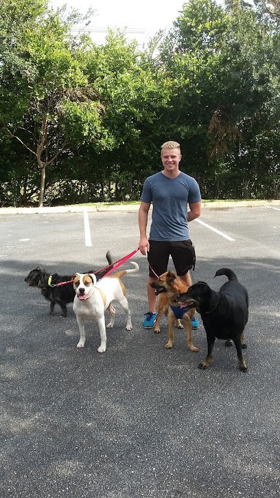Yesdogtraining
