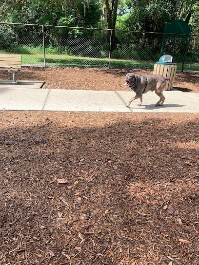 Man Cub K9 Boarding & Training Center