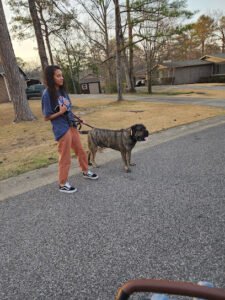 AlphA and Omega Dog Training