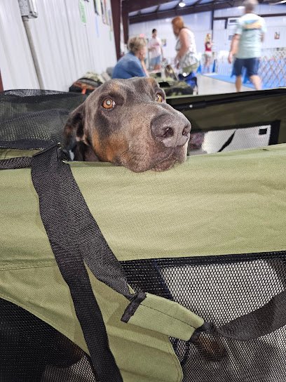 Marion-Alachua Dog Training Association